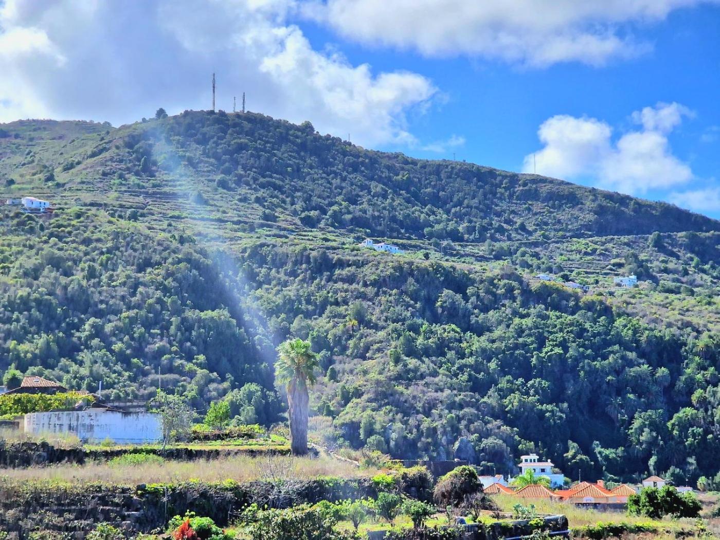 Cozy House Casa De Los Abuelos In Icod De Los Vinos By Hrtenerife Net Luaran gambar