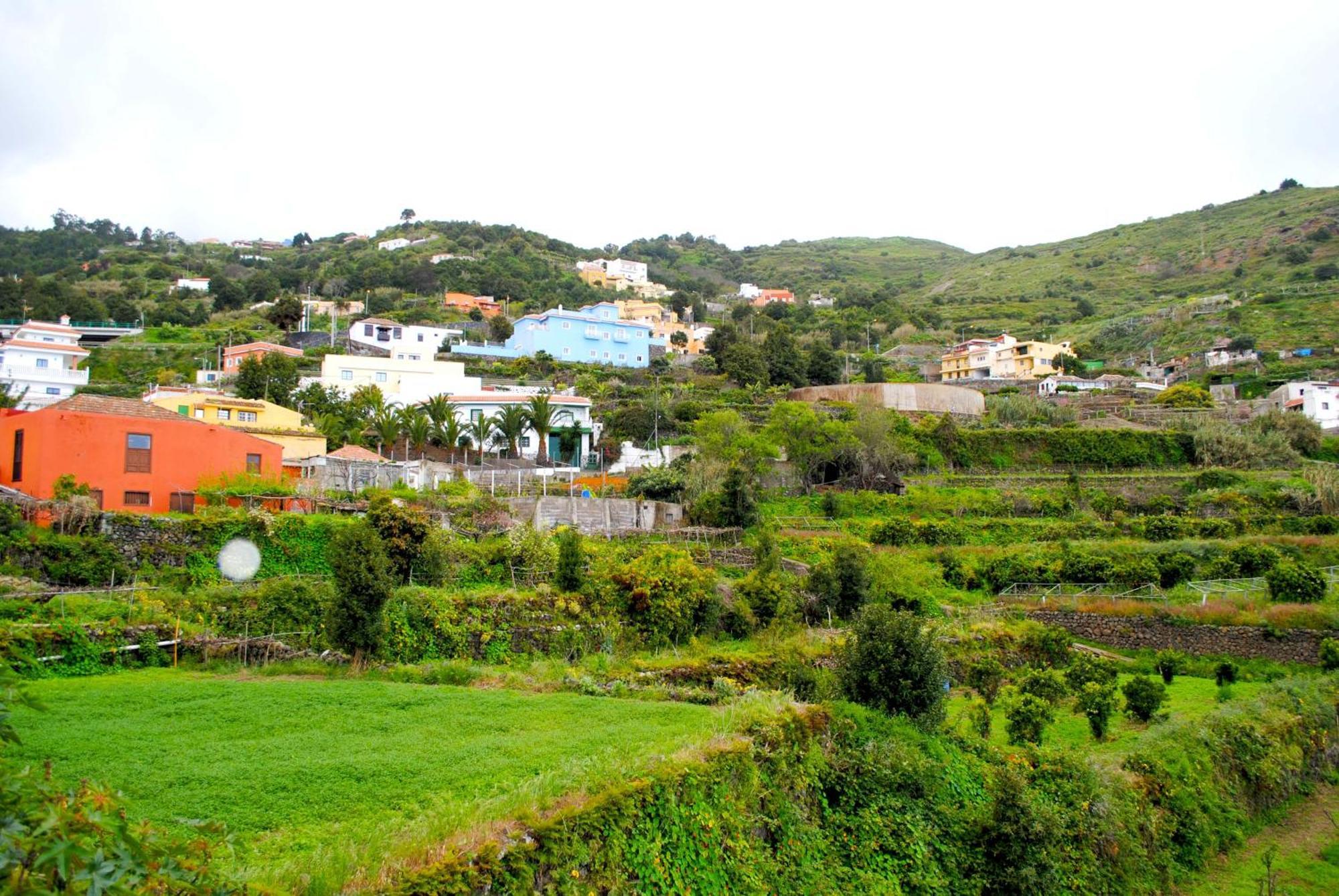 Cozy House Casa De Los Abuelos In Icod De Los Vinos By Hrtenerife Net Luaran gambar